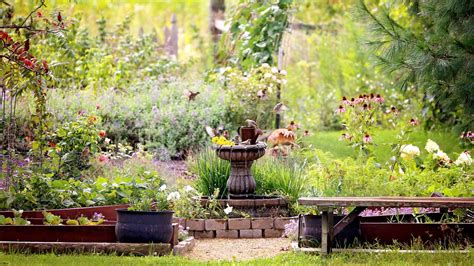 Creating a Wildlife Habitat Garden: A Symphony of Nature in Your Backyard